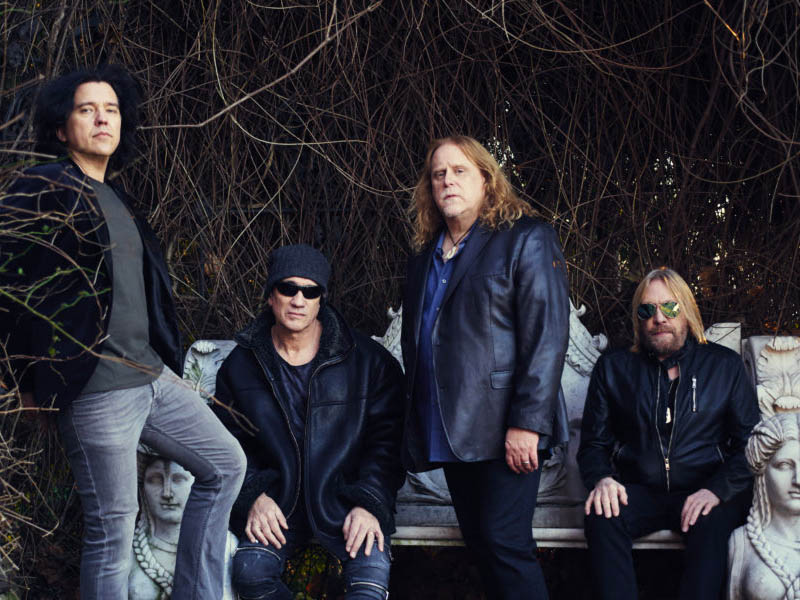 Gov't Mule