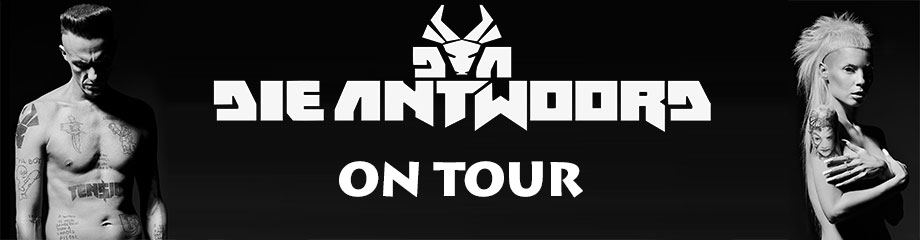 Die Antwoord